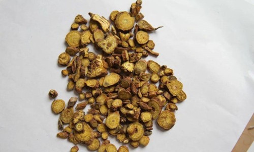 黄芪的功效-大米红枣功效网 - 红枣,大米红枣陈皮姜茶怎么做