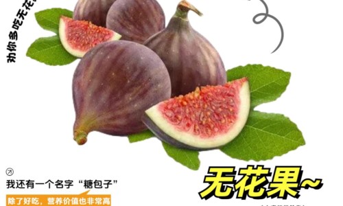 大米红枣花生米煮粥功效-大米红枣功效网 - 红枣,大米红枣陈皮姜茶怎么做